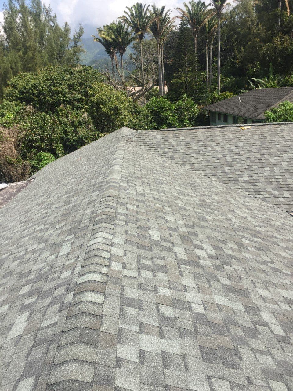 Home with trees and an orange sunset